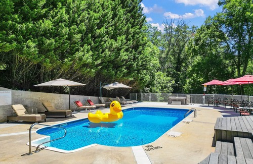 Asheville Apartment | LUXURY USS UTOPIA ~ POOL ~ HOT-TUB ~ DTWN AVL 2M ~ WILDLIFE ~ RURAL