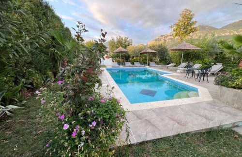 Tirana Villa | Luxury Villa - Dar Al Shams 01