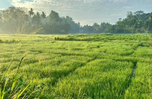 Padinnoruwa Villa | Luxury Villa Galle 4Bedr 5KS Bed