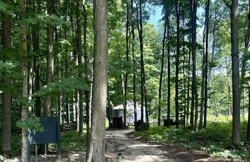 Alden Cabin | Luxury Yurt in charming Bellaire with Heat/AC