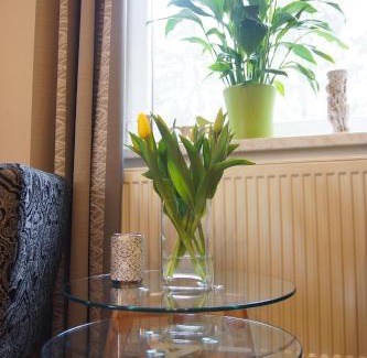 Nove Mesto na Morave Apartment | Luxusní Apartmán NMNM Family