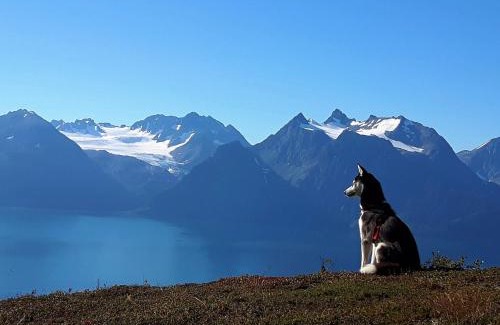 Lyngen House | Lyngen Arctic View