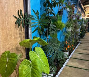 Kon Plong House | Mây và Mây - Homestay Măng Đen