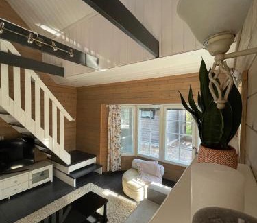 Syote Apartment | Mörrimöykky Iso-Syöte log cabin
