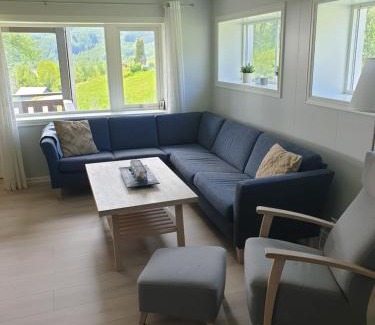 Myrkdalen Apartment | Mørkve Apartement