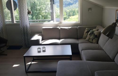 Myrkdalen Apartment | Mørkve Apartement