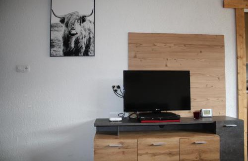Muehlbach Am Hochkoenig Apartment | Mühlbach Alpendomizil II