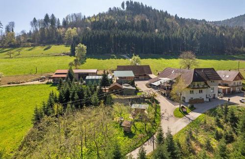 Haslach im Kinzigtal House | Müllerleile Hof