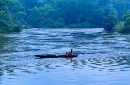 Nam Cat Tien Hotel | Mỏ Vẹt Guesthouse Riverside
