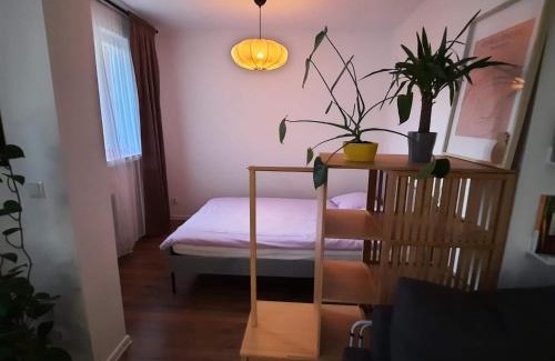 Limanowa Apartment | M37 x Fabryczna