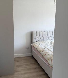 Cork Little House | Mad House!
