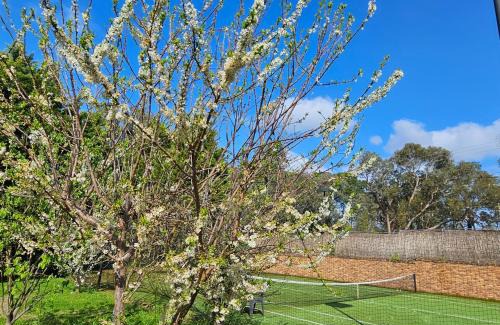 Warrandyte House | Maggie's Guesthouse - large property with pool, billiards, tennis court, BBQ & more