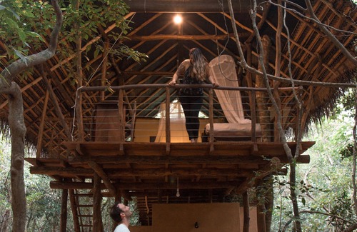 Sigiriya Cabin | Magical Tree House in Jungle next to Pidurangala