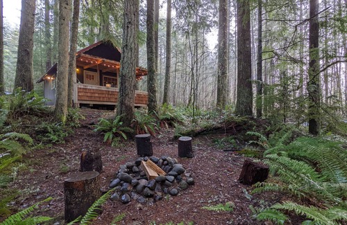 Ashford Cabin | Magical Woodland Retreat only 8mi to MRNP!