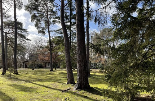 Menetreol Sur Sauldre Villa | Magnificent villa in a pretty wooded park of 6000m².