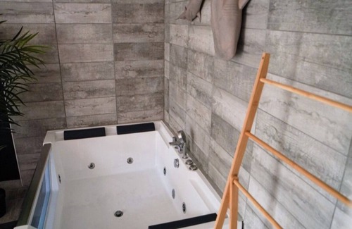 Saint-Cyprien Plage Apartment | Magnificent apartment with whirlpool bath.
