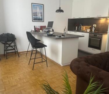 Downtown Geneva Apartment | Magnificent apartment, Geneva Center, Geneva Lake