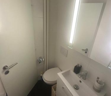 Downtown Geneva Apartment | Magnificent apartment, Geneva Center, Geneva Lake