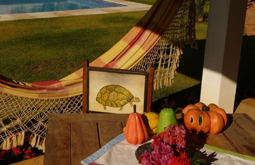 Centro House | Magnificent beach house: swimming pool and tropical garden!