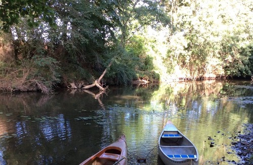 Belabre House | Magnificent mill, quiet, with its private island on the banks of the Anglin.