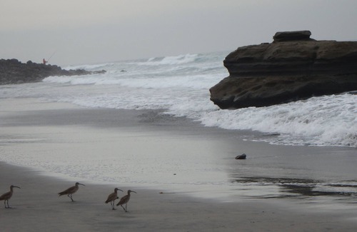 Ensenada Condo | MAGNIFICENT 3 BED/2 BATH BEACH FRONT OASIS 18 MILES SOUTH OF ROSARITO
