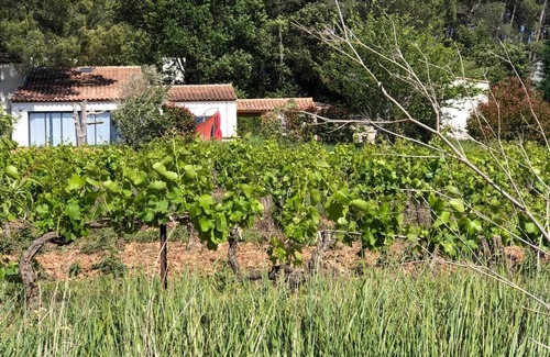 Rousset Villa | MAGNIFICENT VILLA AMID VINEYARDS AND PINE TREES NEAR AIX EN PROVENCE