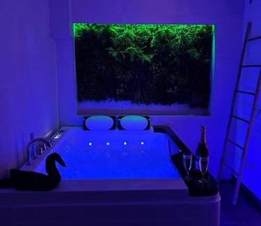 Avolsheim Apartment | Magnifique gîte avec jacuzzi et sauna privatifs