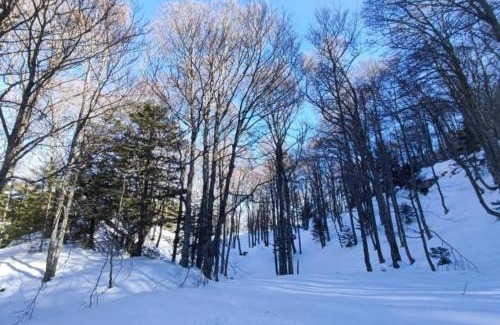 Bielle Apartment | Mailh- Massibé T2 5 pers près du ski linge de maison inclus parking tout confort jardin clos