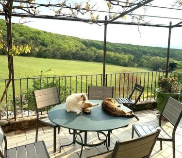 Felines-sur-Rimandoule House | MAISON 8 à 10p, piscine, parc, campagne sans voisin en Drôme provençale