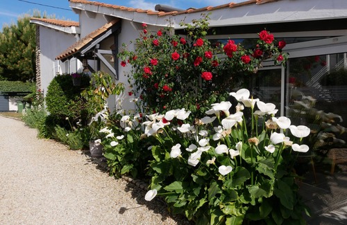 Saint-Georges-d'Oleron House | Maison Avec T1 Indépendant Piscine Chauffée Découvrable Jardin île D'oléron