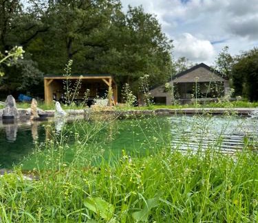 Couvin House | Maison dans les bois