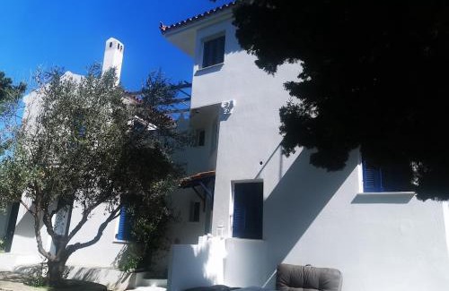 Afytos Villa | Maison Des Oliviers 4 CHAMBRES, PISCINE PRIVEE, MER, PLAGE, VILLAGE