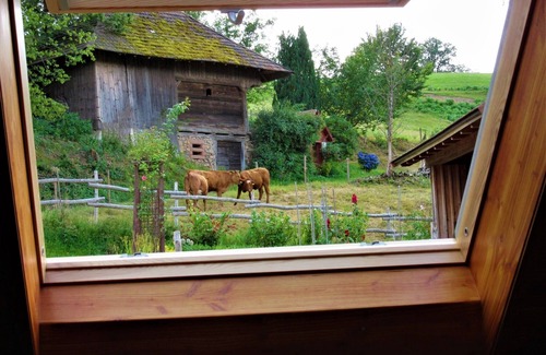 Elzach Apartment | Maisonette vacation apartment with 104sqm in the countryside, 1 bedroom, max. 2 persons, ecologically oriented