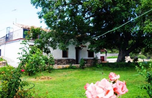 Villacarrillo Apartment | Majada La Carrasca