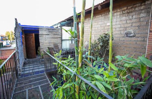 Cholula Apartment | Majikal B&B - Diego Rivera