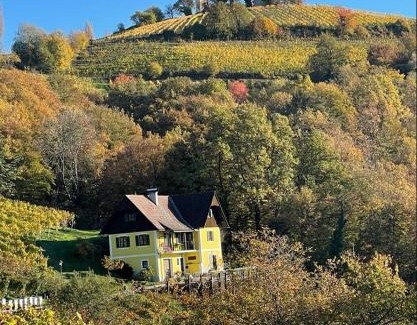 Kitzeck im Sausal Apartment | Malerisches Weingartenhäuschen in Kitzeck