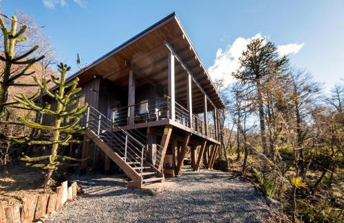 Curacautin House | Malga Andina