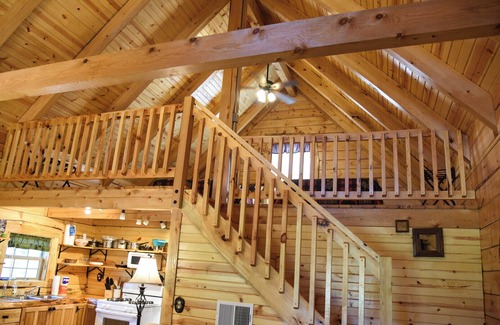 Leeper Cabin | Mama Bear Log Cabin near Cook Forest State Park