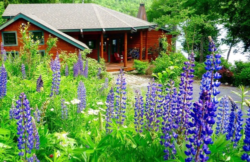 Long Lake Cabin | "Mange Takk Is Simply Heaven!"