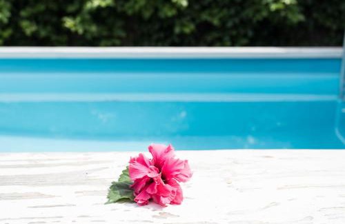 Ngatangiia House | Mango Cottage with AC, Unlimited Wifi and Private pool