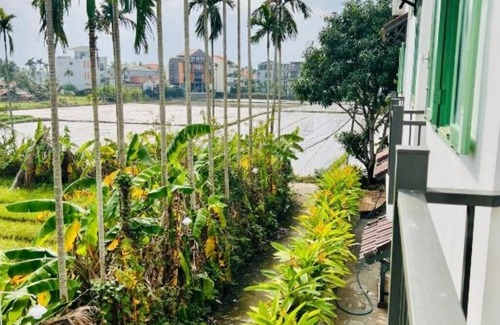 Hoi An City Centre Hotel | Manling Retreat Hoi An : Deluxe Double Room with Balcony