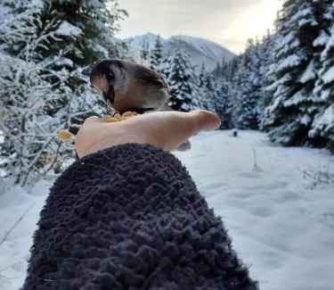 Okanagan-Similkameen House | Manning Park Hideaway