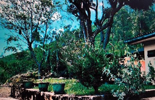 Lindula House | Mano illam