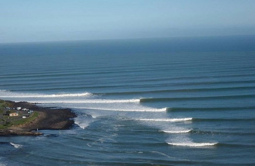 Raglan Apartment | Manu Bay Homestay.With great views.Access beach on bush track from here.