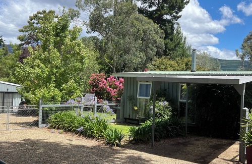 Bright Cottage | Maple Rose Cottage - pet friendly - park the car and walk everywhere!
