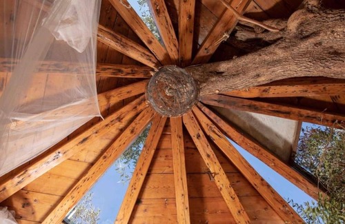 Skala Cabin | Margaritis Treehouse : Nature Escape Just 10 minutes from the Beach