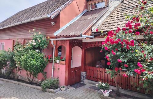Martinis House | Margit kulcsoshaz