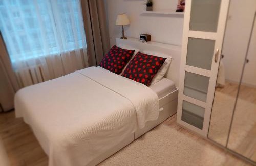 Lithuania Apartment | Marijampolės jaukūs apartamentai