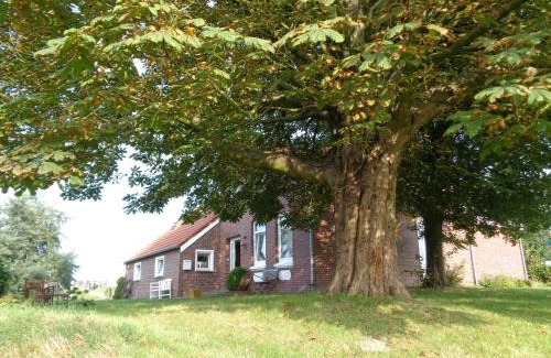 Dornum Apartment | Marijanas Ferienhof 1, Urlaub mit viel Platz zwischen Dornumersiel und Bensersiel, gehört zum Café Kunterbunt