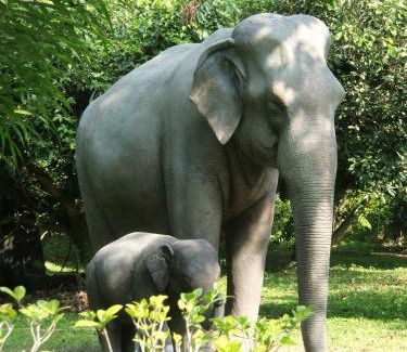 Mueang Ngai Resort | Marisa Resort & Spa Chiang Dao